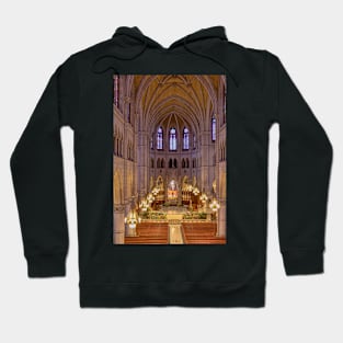 Cathedral Basilica of the Sacred Heart 2 Hoodie